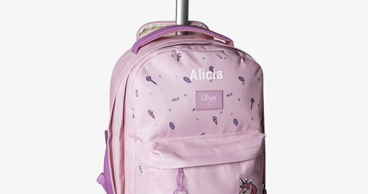 Organizing Essentials In Back To School Bags